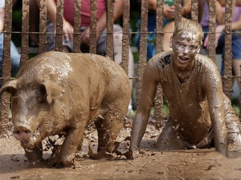 pig fucks guy|Pig fucks man rapidly